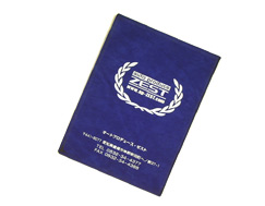 �ָ�������